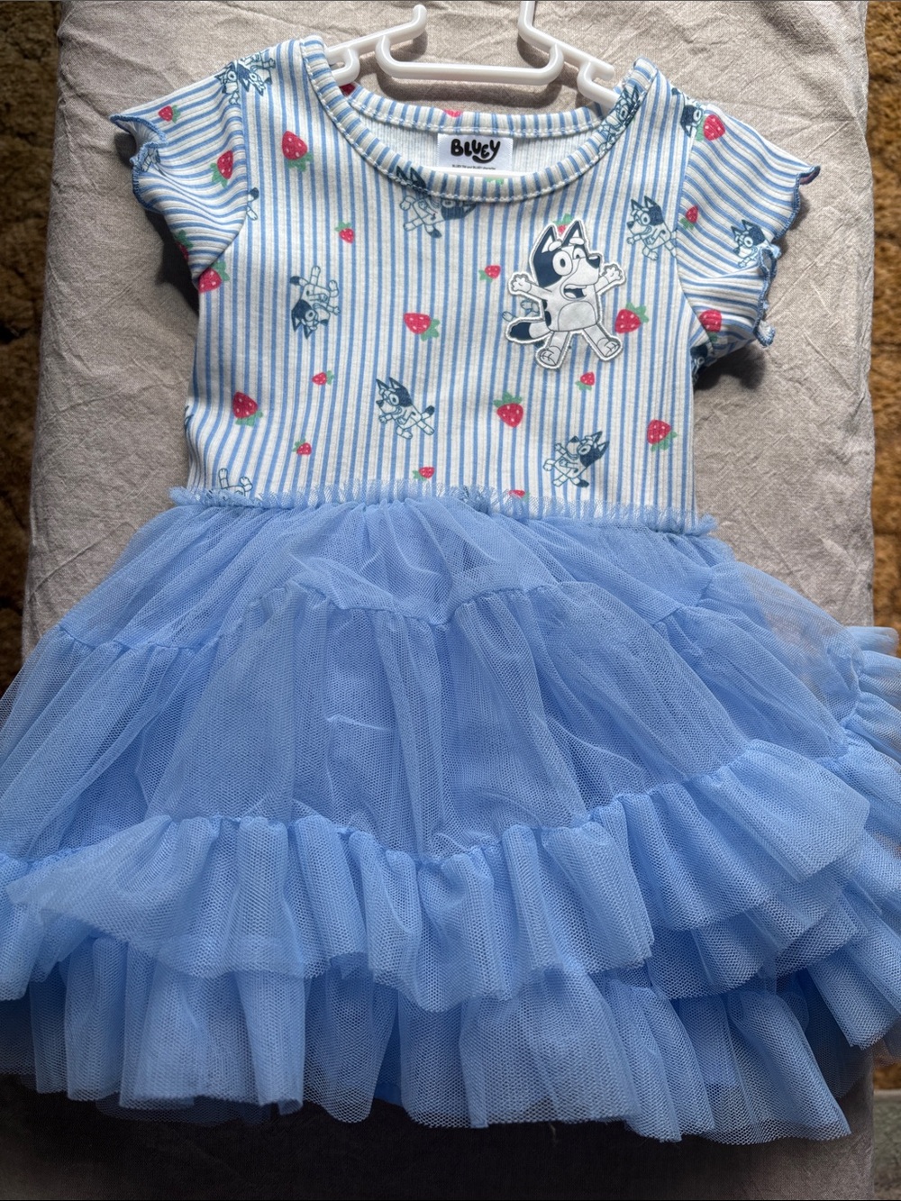 Bluey Striped Tulle Dress